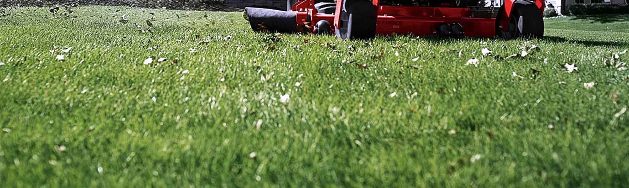 Lawn Mowing and Yardcare Services